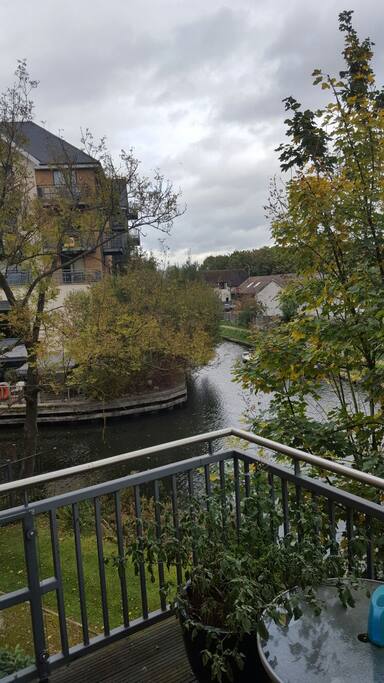View from Balcony