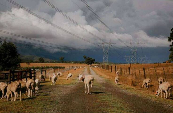 Stringy Brae gallery image 4