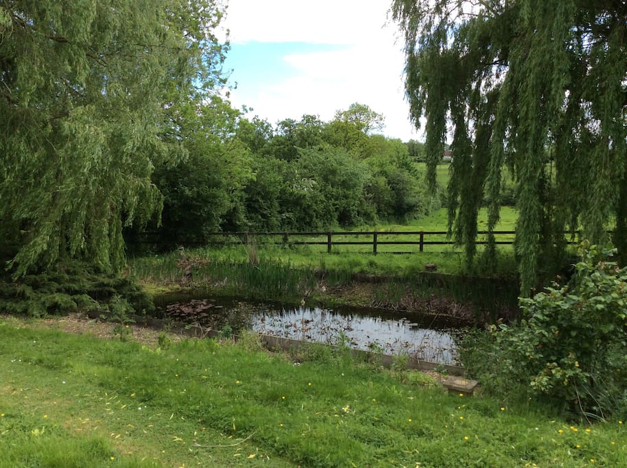 View from bedroom window