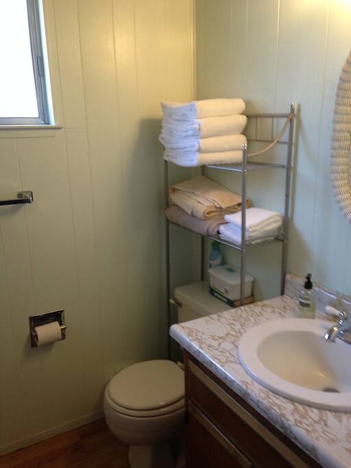 Semi-private bathroom