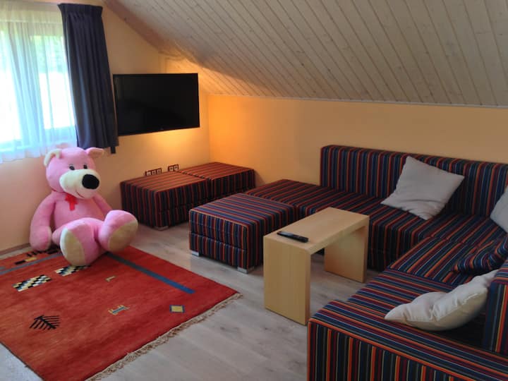 Lake View One Bedroom Apartment For 6, No Terrace - Hradec Králové