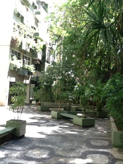 Play - vista para a mata