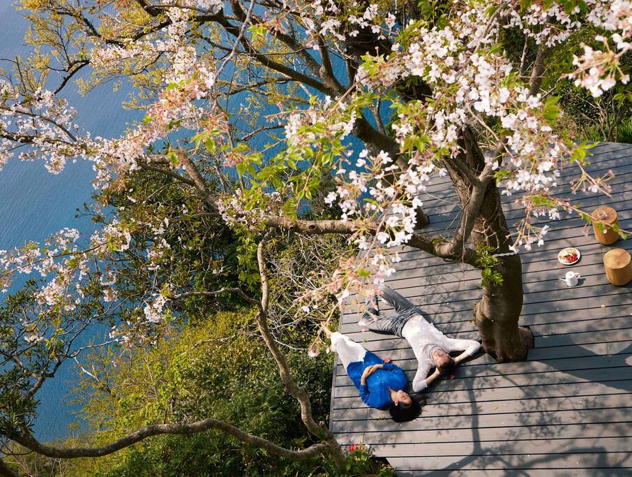 Photograph by Kyoko Hamada