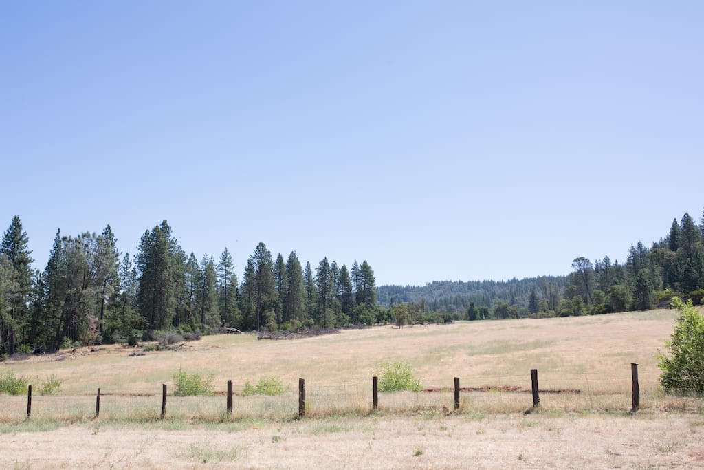 View of the meadow from the driveway.