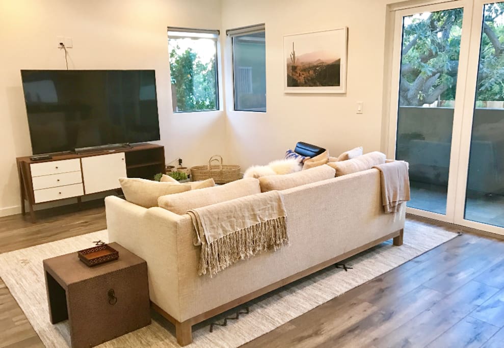 Designer furnishings 65" TV