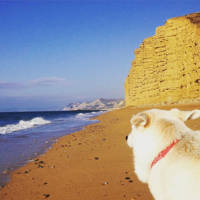 The nearby beach at Burton Bradstock
