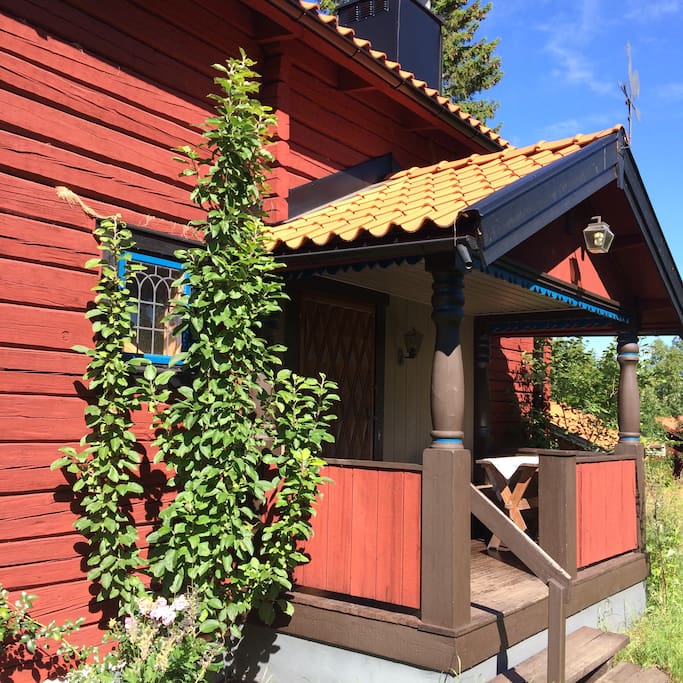 Förstukvisten på baksidan