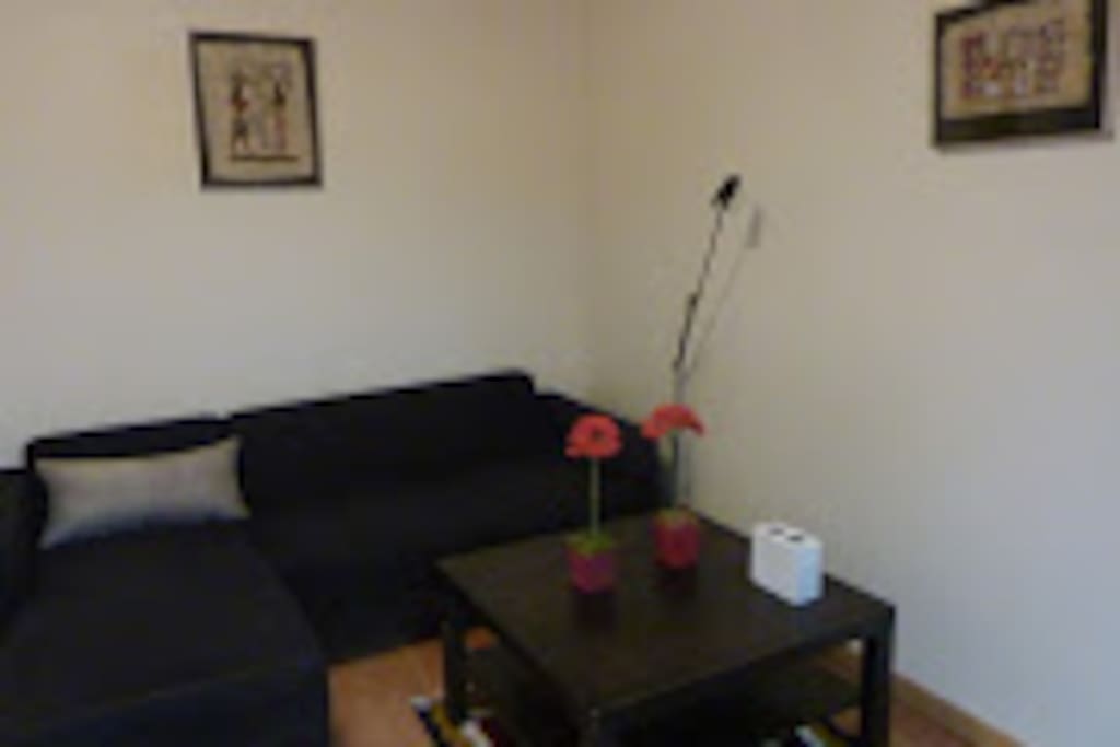 Salon