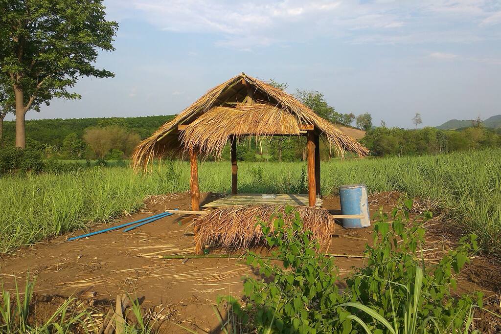 Bamboo hut