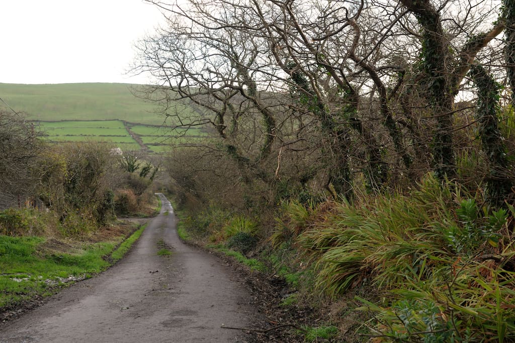 Country road to the house.