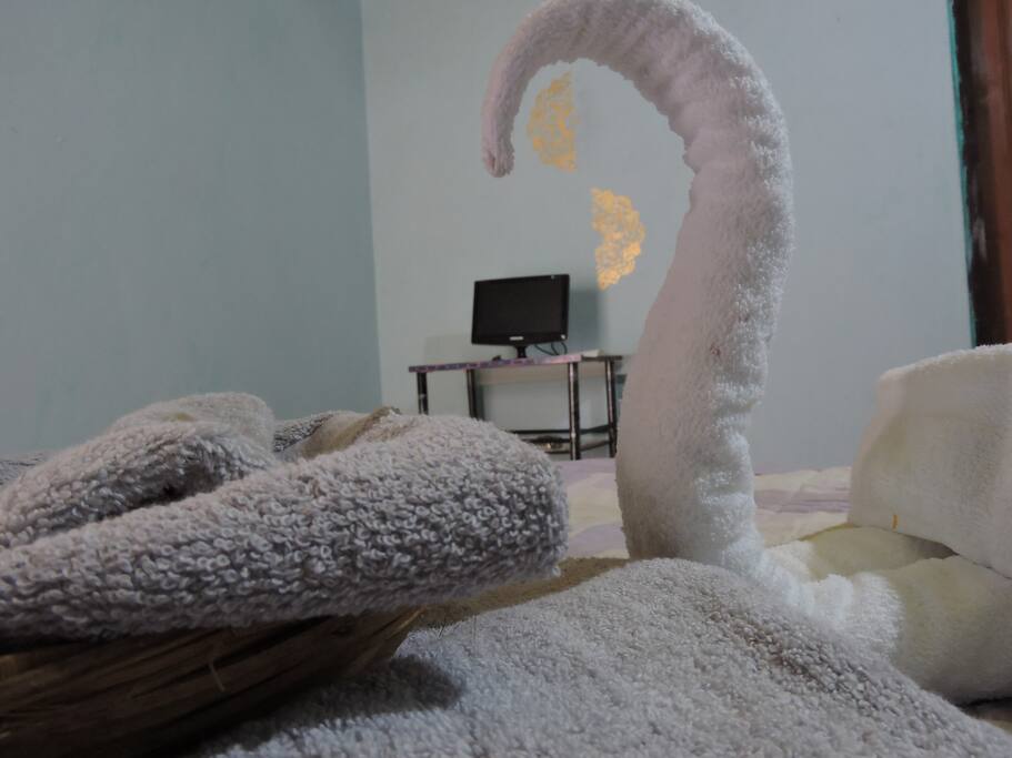 A small glimpse of the luxury room