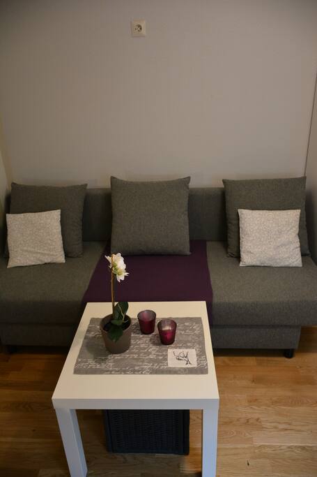 Pull-out sofa-bed, with room for two people :) Pillows and duvets are inside!