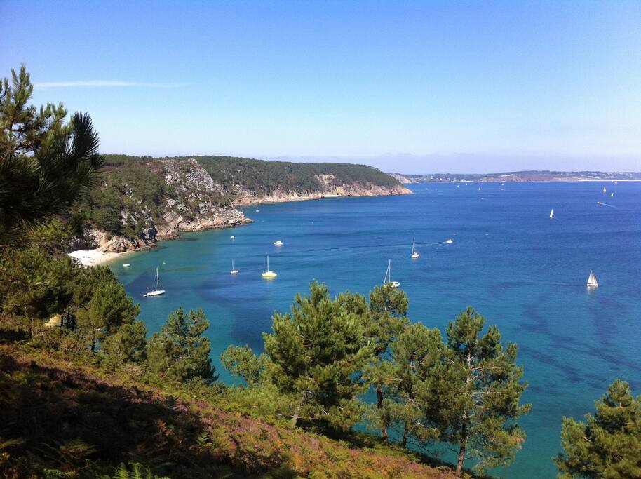 Paysage