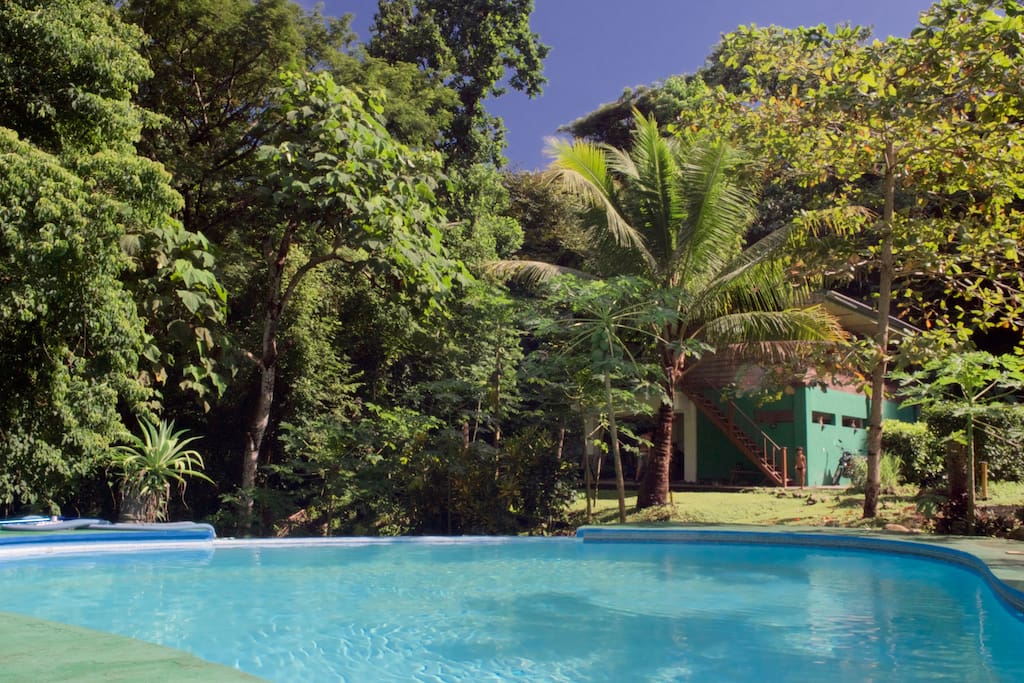 SHARED POOL