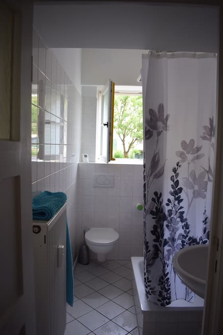 The bathroom