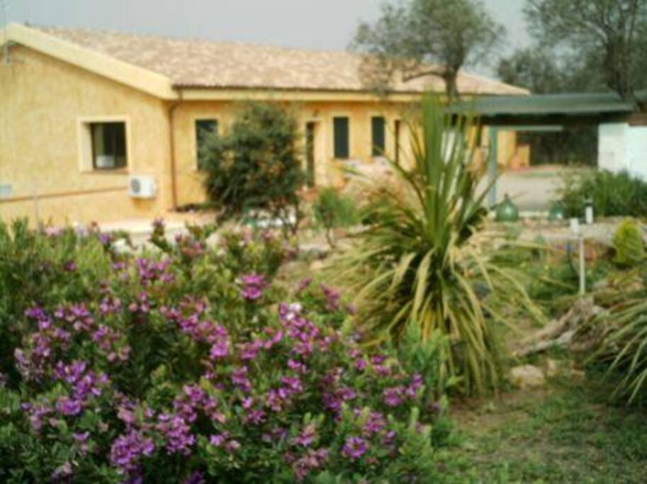 Giardino