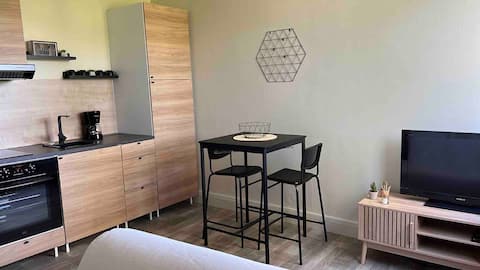 Small cozy apartment Miribel