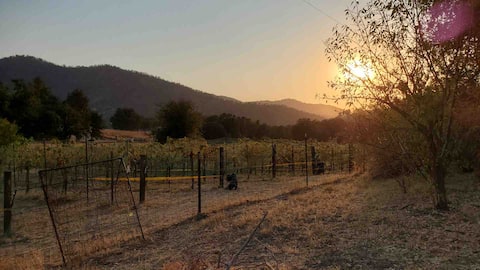 Delilah Ridge Winery Mid Mod Guesthouse