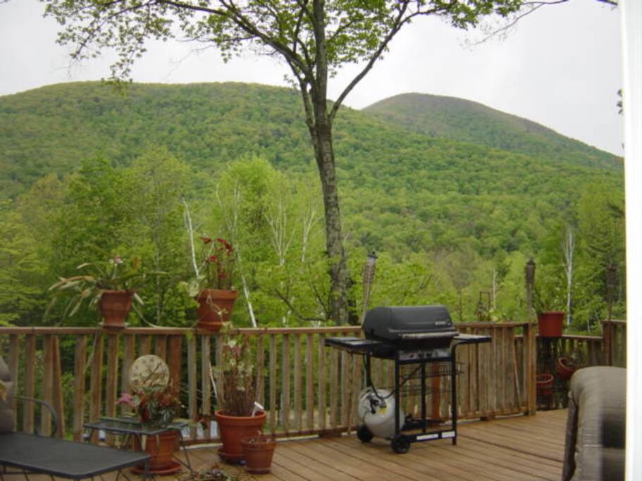 Summer View off of deck back of House