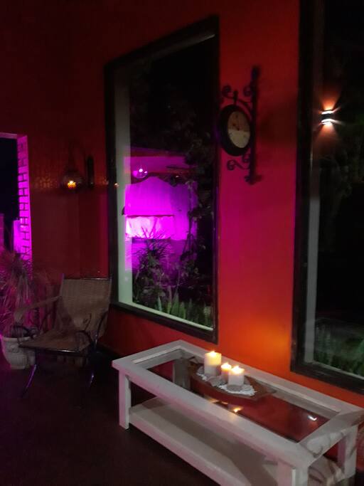 Jardín de invierno