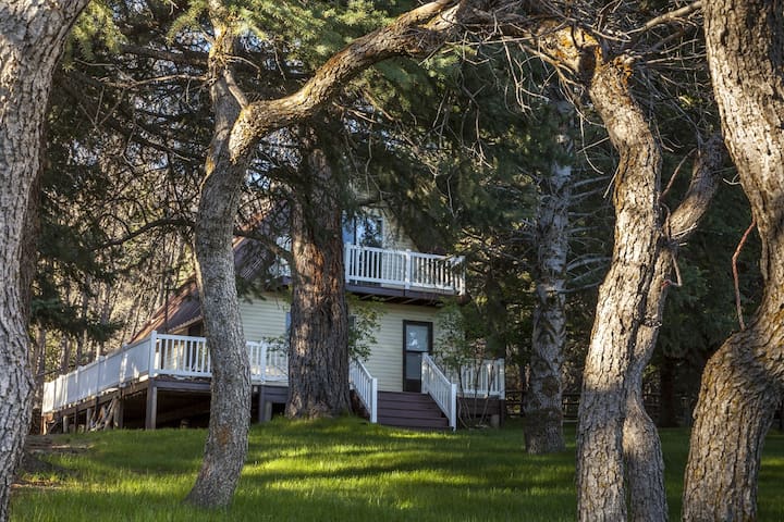 HIDDEN PINES Secluded Cabin With A Creek Out Back