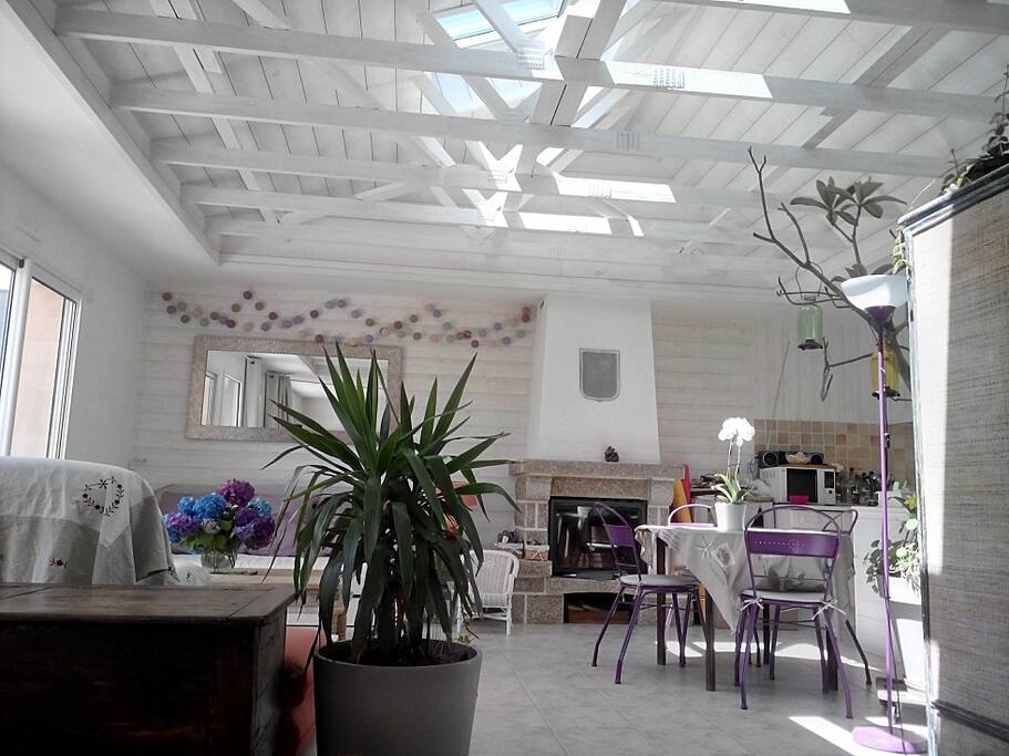salon avec cheminée