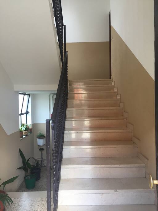 SCALA ACCESSO