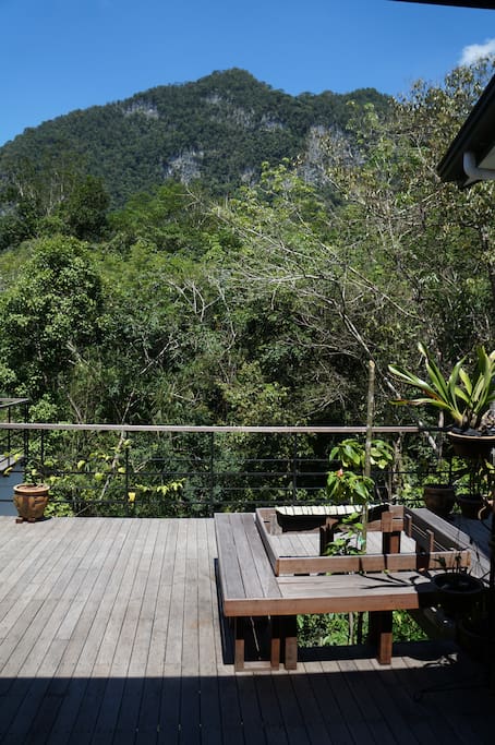 Mountain and Rainforest views from the Property