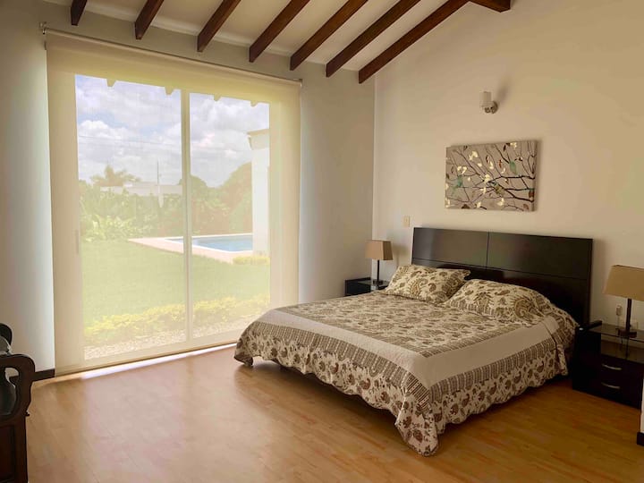 Hlavný riaditeľ Alcoba 