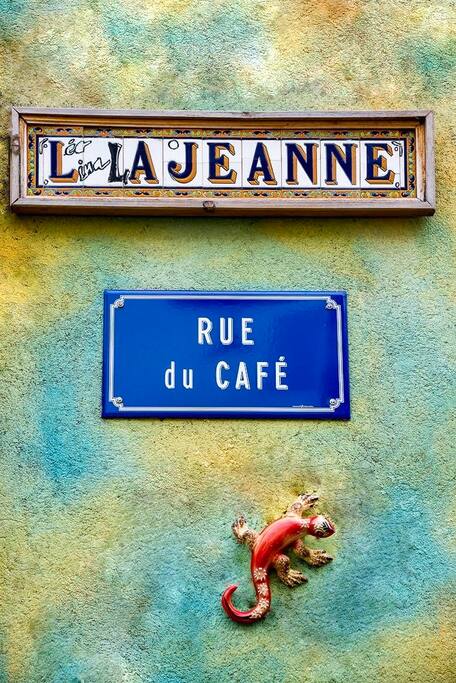 Le gecko c'est rigolo, a parfois une queue plate et de bien curieuses pattes !!!
