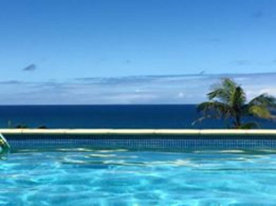Pool with a view ‘One Mile Beach’