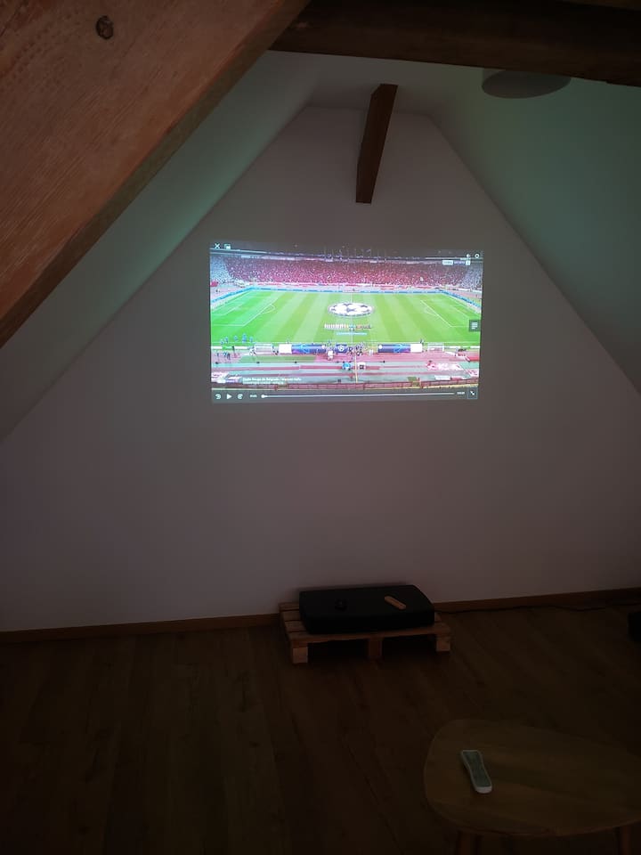 Rétroprojecteur à disposition (pensez à votre ordinateur - HDMI)