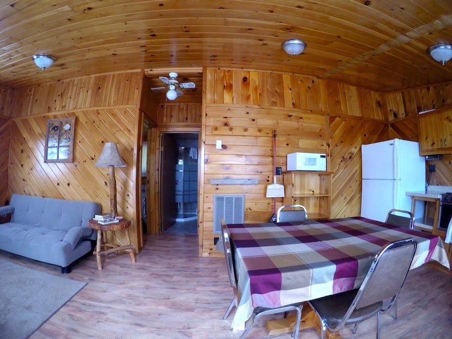 Open kitchen, dining and living area