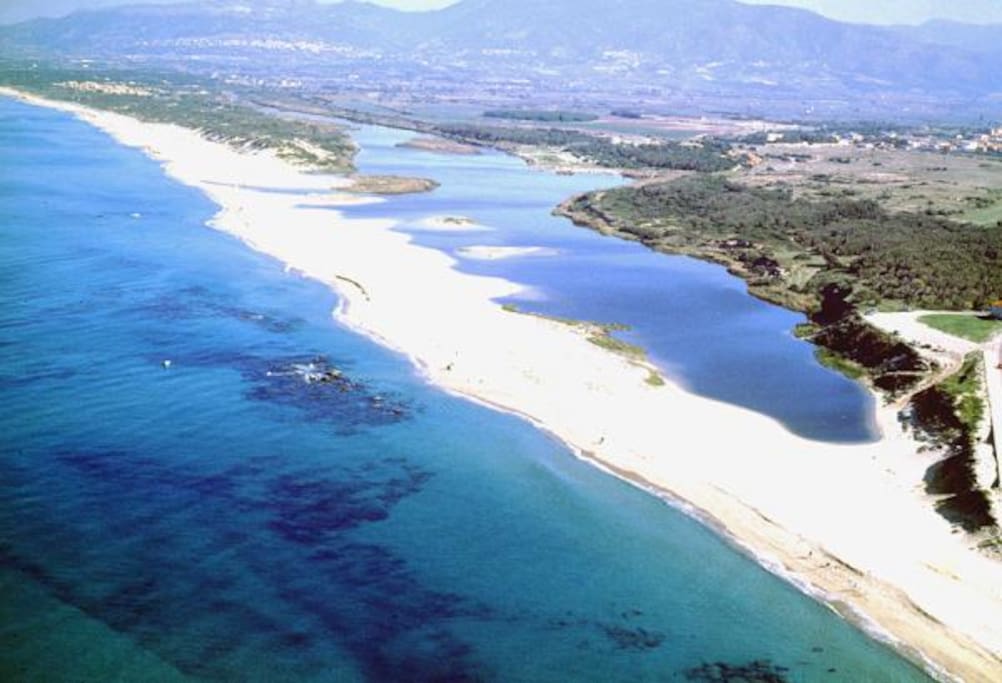 valledoria beach dunes system and pine eucalipto forest where Amelia's fortunate location