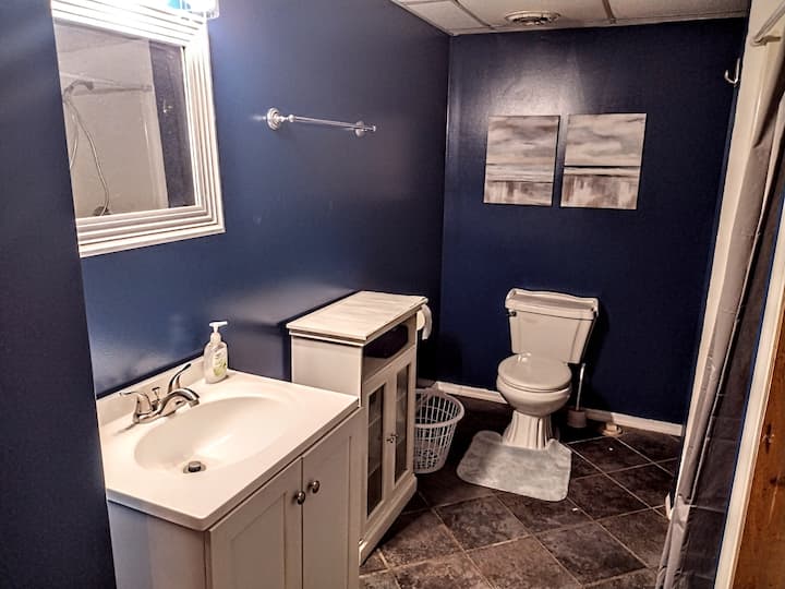 10 Best Airbnb Vacation Rentals In Olivet, Michigan Trip101