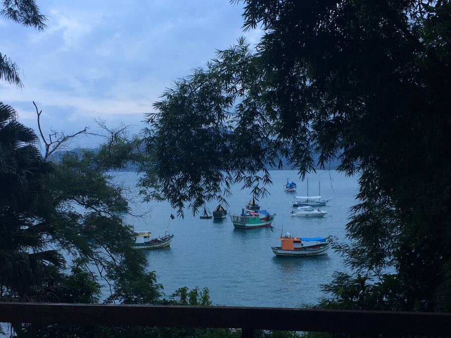View from the house