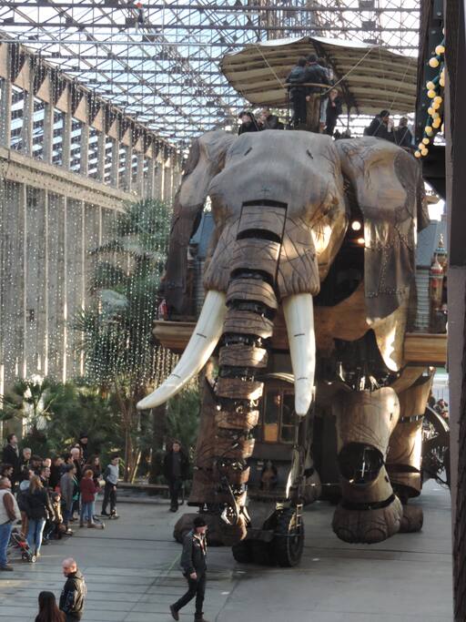 l'éléphant