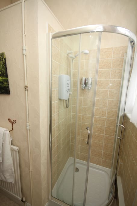 en suite shower room-room 10