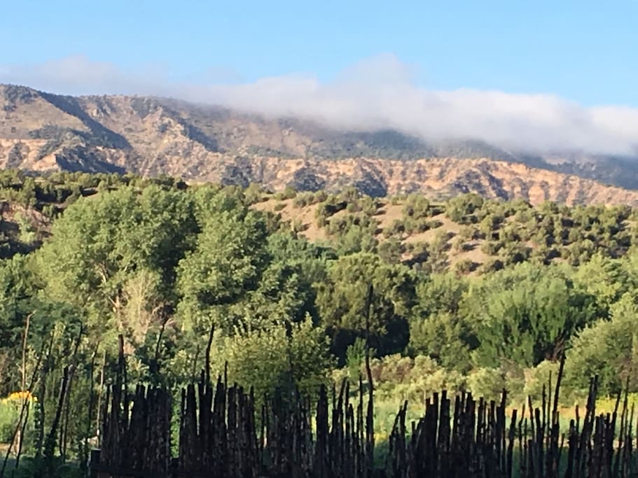 The view from the steps of Enchantment Yurt in the morning.