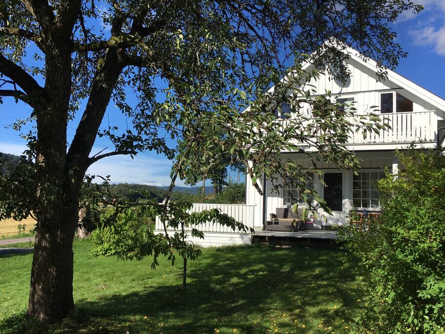 House og tree. Sun and shadow