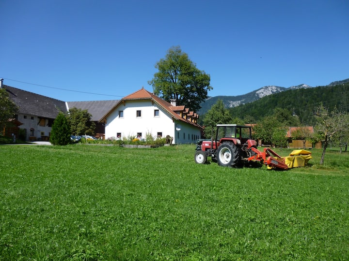 XXXL Ferienwohnung - WALDBAUER