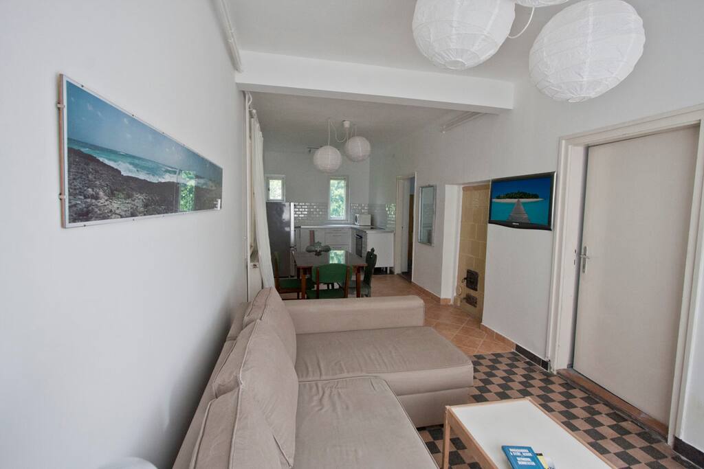 Living room + dining + kitchen