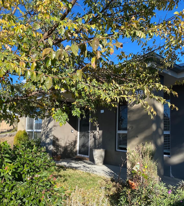 10 Best Pet & DogFriendly In Jindabyne, Australia