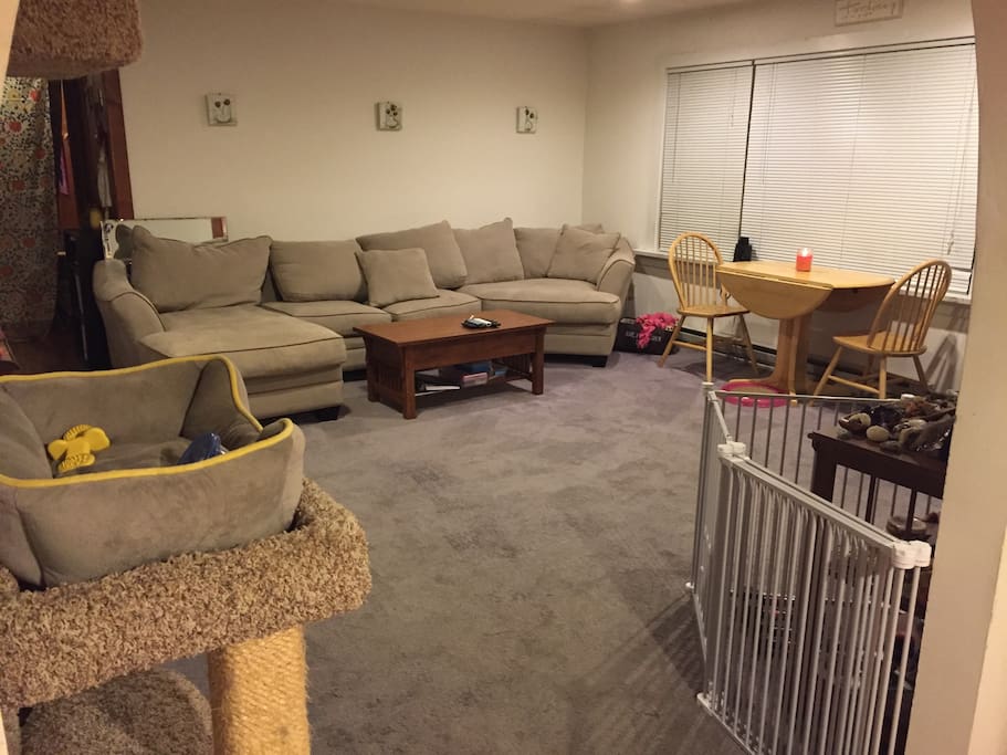 Spacious living room