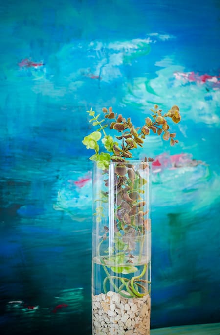 room WATER