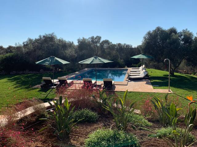 Los Hibiscus – a luxury contemporary finca gallery image 5