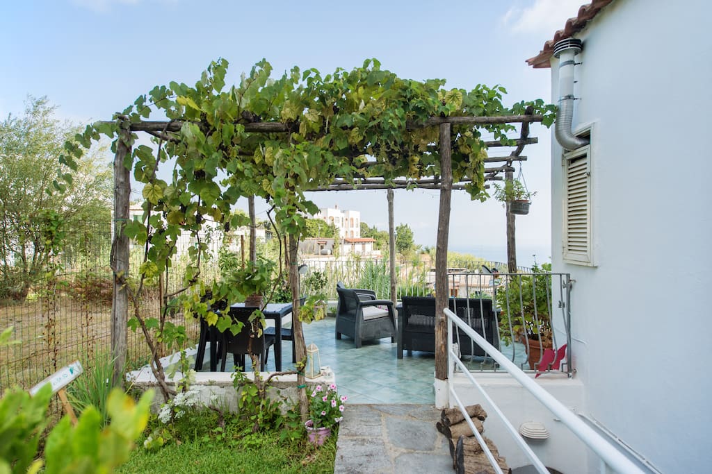 Giardino, pergolato d'uva e terrazzo panoramico a livello ad uso esclusivo