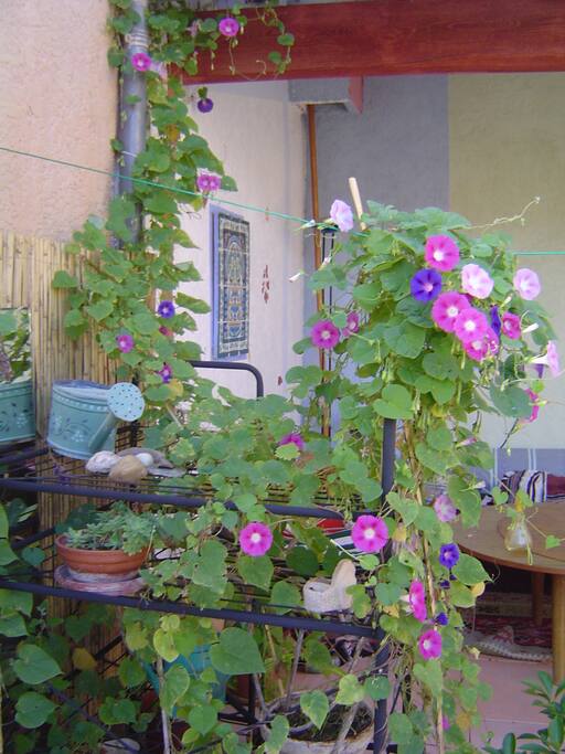 Ce cliché montre cette partie de la terrasse qui est à l'abri du soleil.