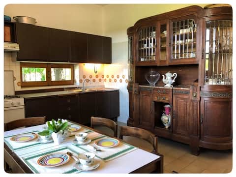 The Garden of Nicla, Sesto Calende