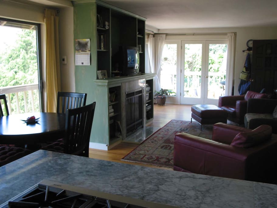 Gas Fireplace in Living room